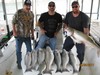 (04/08/2017) - Nice Striped Bass